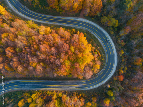 Autumn colors. Colorful image of tree leaves in autumn. © Hakan Eliaçık