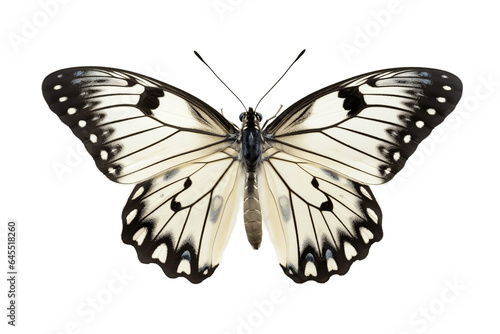 Marbled White Butterfly Isolated on Transparent Background. Generative AI.