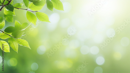 Fresh green leaves  plant  spring or summer season  bokeh  blur abstract background