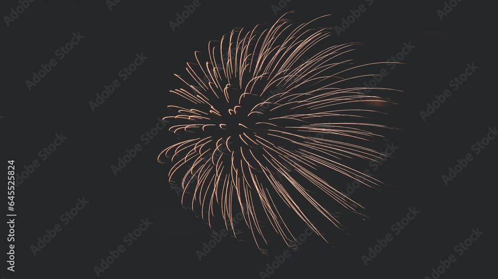fireworks in the sky fireworks in the sky