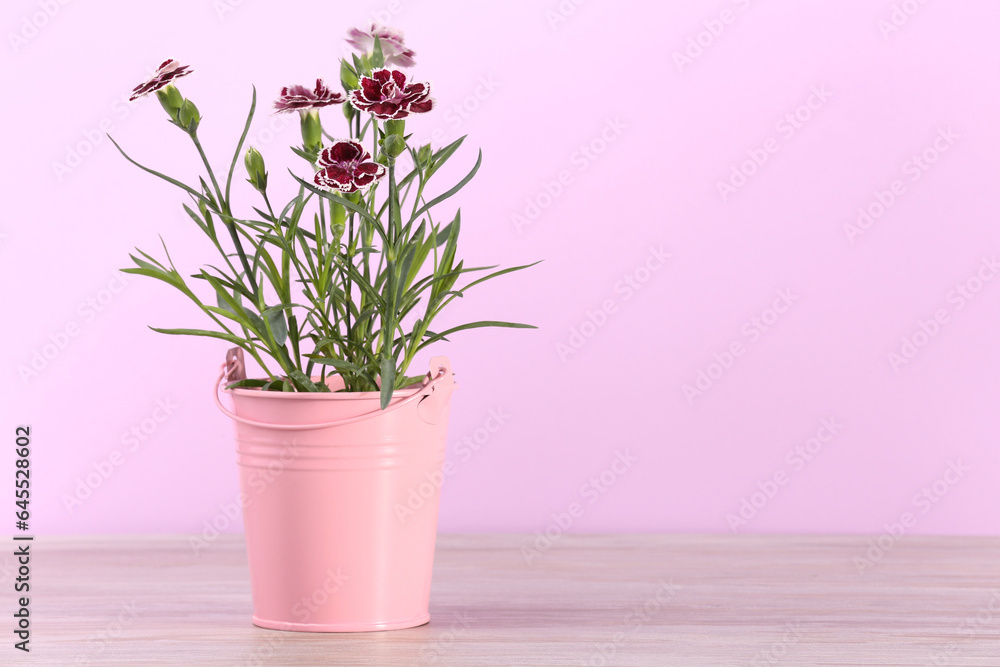 Fototapeta premium Beautiful flowers in pink pot on wooden table against violet background. Space for text