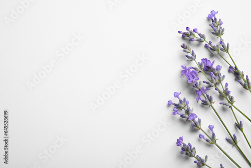 Fototapeta Naklejka Na Ścianę i Meble -  Beautiful aromatic lavender flowers on white background, flat lay. Space for text