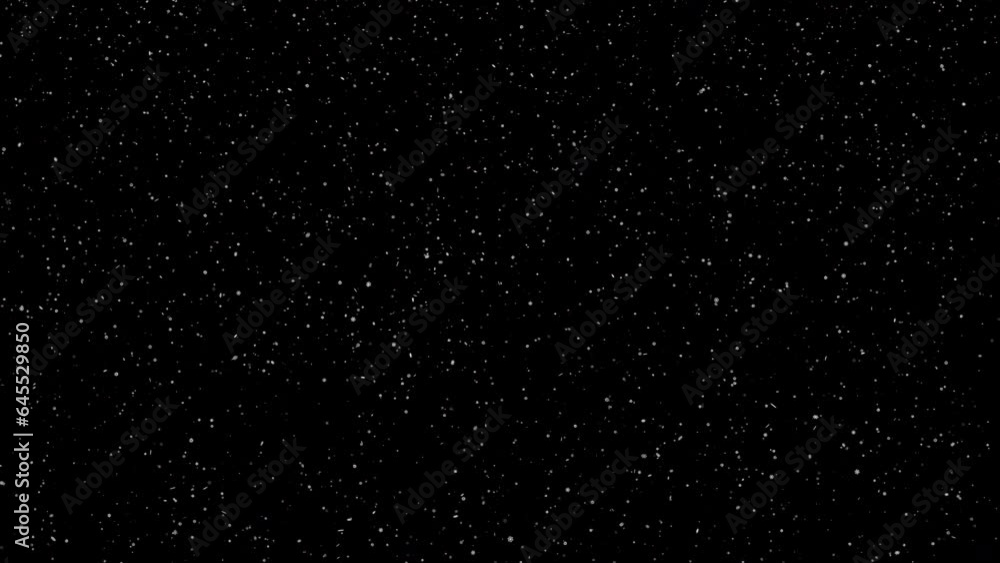 Snow falling heavy thoughout the frame, regular-sized flakes falling, video is 4k 24p with alpha channel for transparency Snow falling heavy thoughout the frame, regular-sized flakes falling, video is 4k 24p with alpha channel for transparency