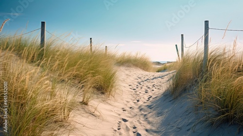 Fototapeta Naklejka Na Ścianę i Meble -  View of the foot path leading to the beach. Generative AI