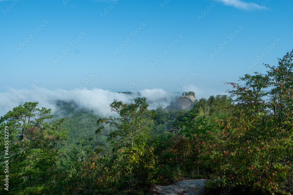 Foggy morning view from a mountain top