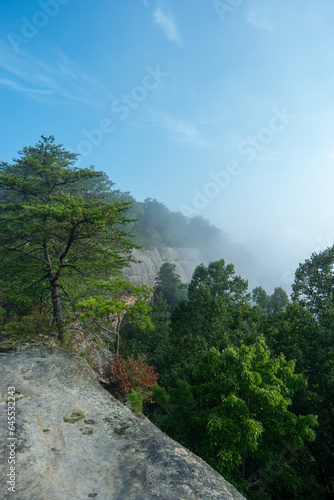 Foggy morning view from a mountain top