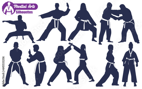 Martial Art or karate Silhouettes Vector illustration