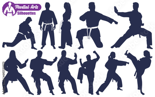 Martial Art or karate Silhouettes Vector illustration