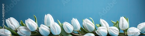 spring tulips background with space