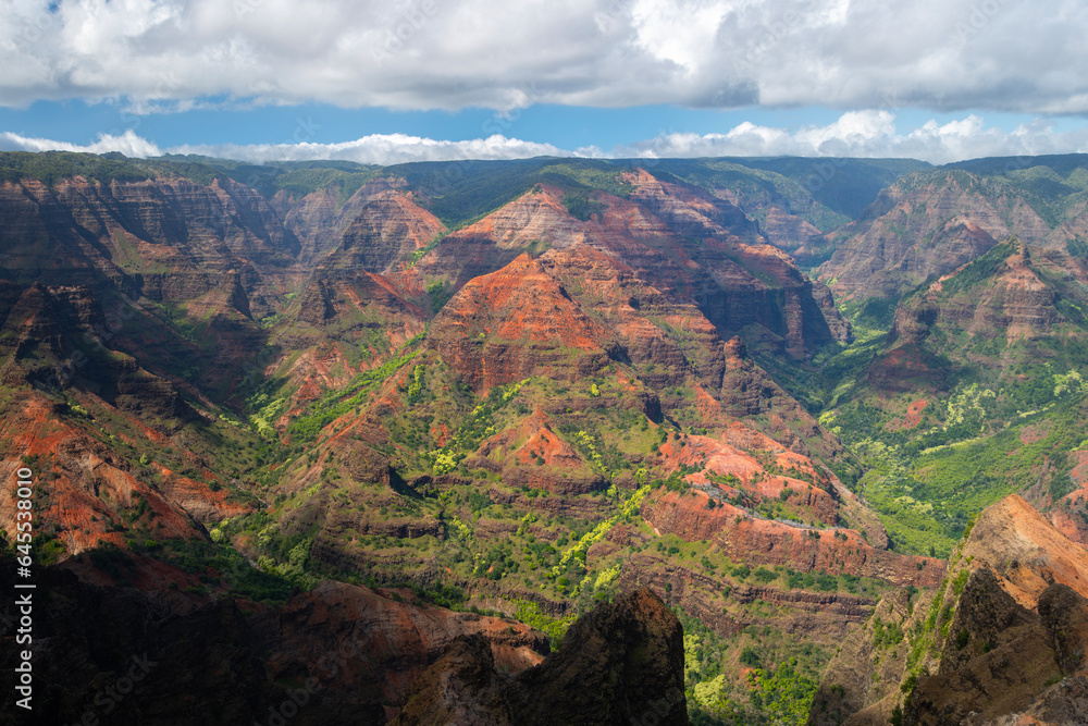 Fototapeta premium Waimea Canyon State Park, Kauai Hawaii