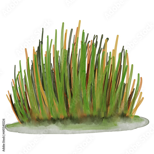 Watercolor Grass Nature Landscape Element