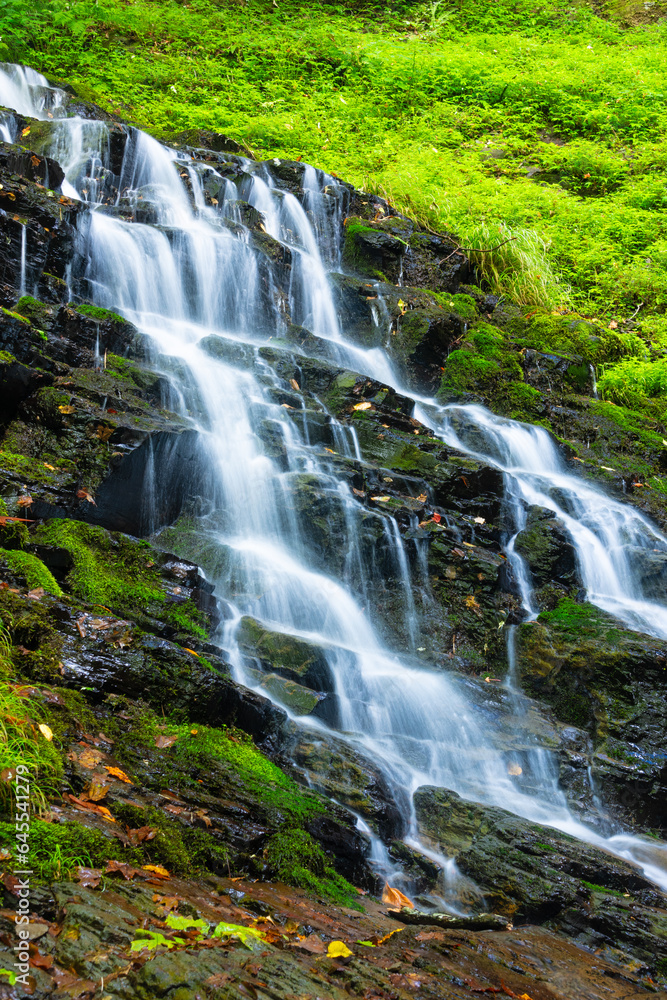 waterfall in the forest waterfall in the forest