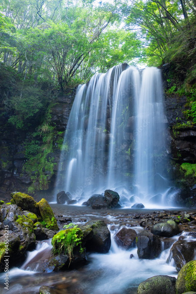 waterfall in the forest waterfall in the forest