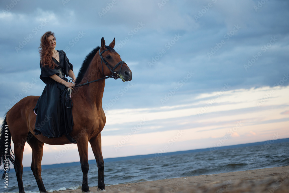 Fototapeta premium A beautiful young horsewoman in a black dress and with her hair down, riding a horse, portrait against the background of the evening sky, horseback riding in the open air