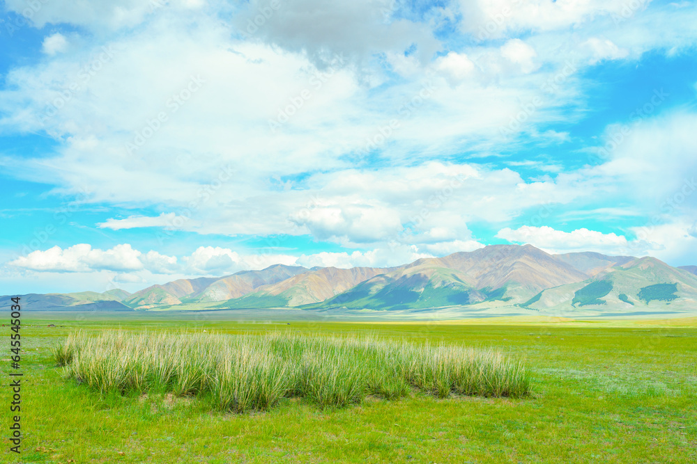 Obraz premium View of Sailugem ridge in Altai 