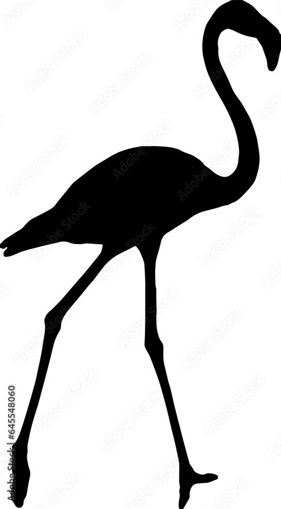 illustration of a black and white bird