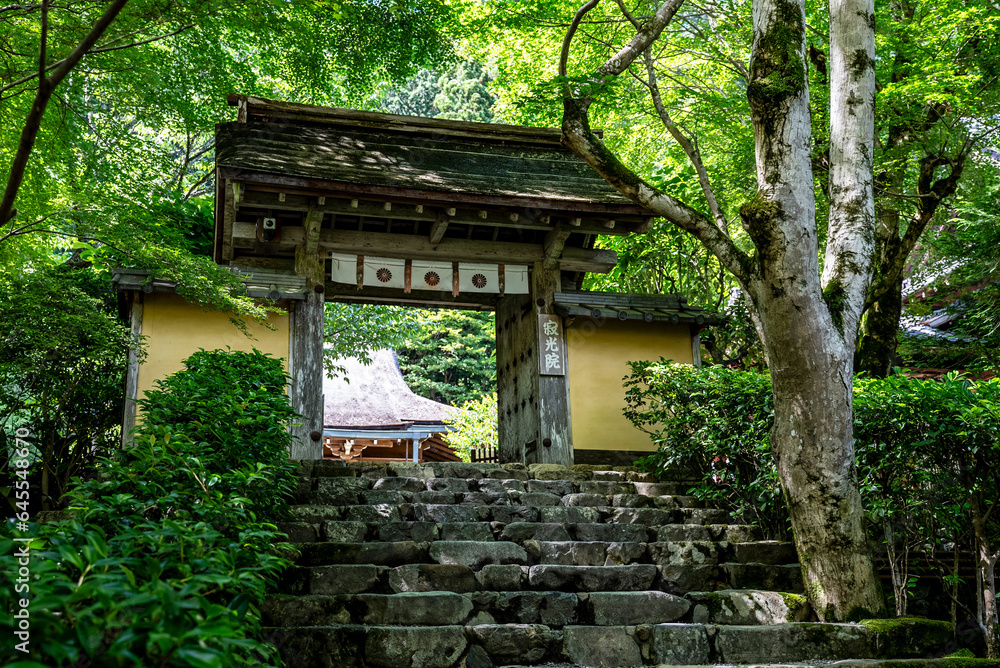 Obraz premium 京都大原・寂光院