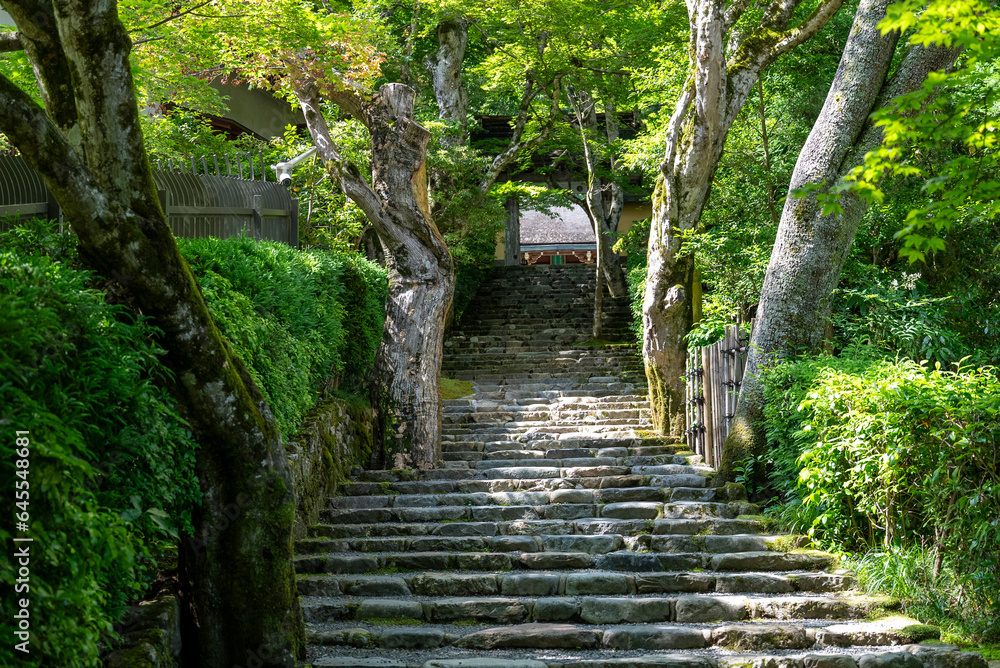 京都大原・寂光院 京都大原・寂光院