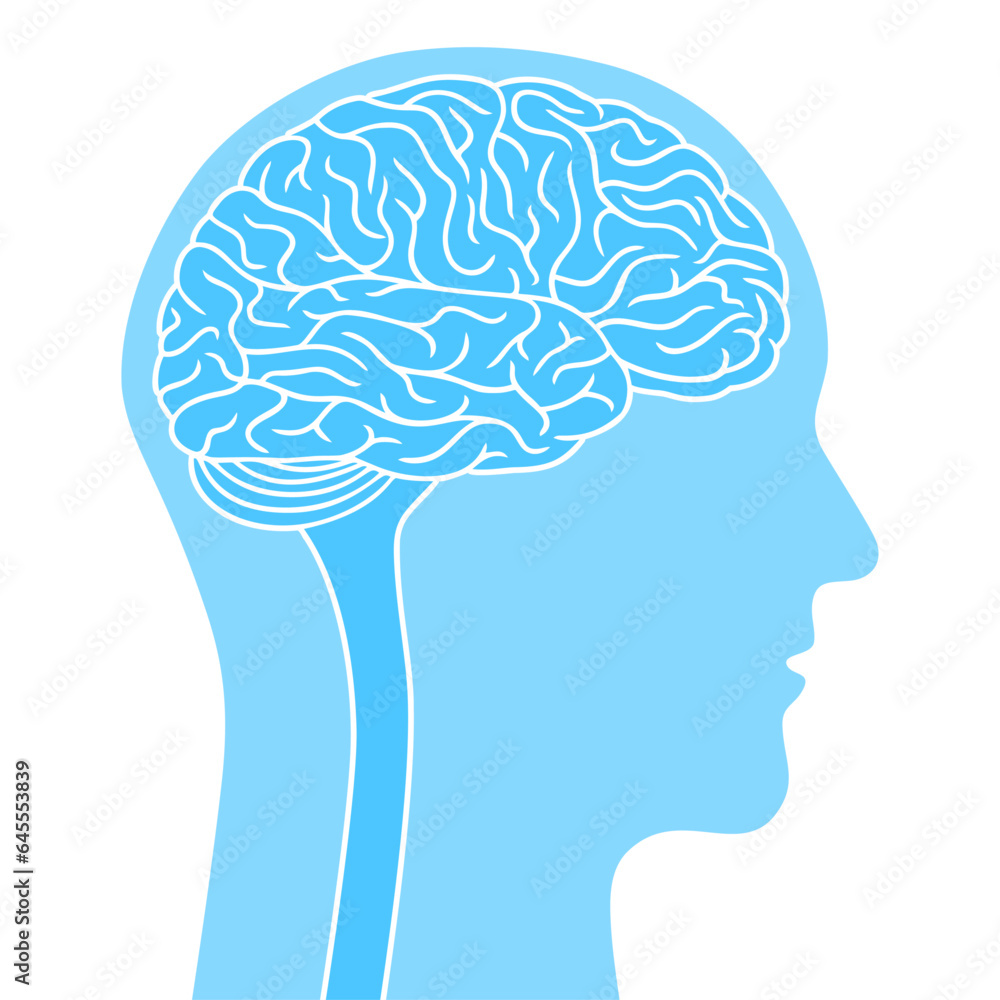 Obraz premium Human head with brain