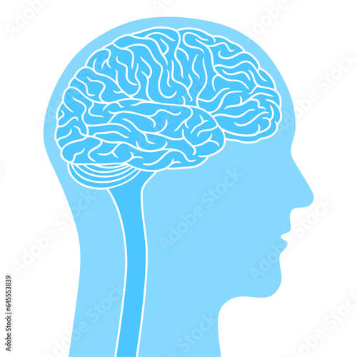 Human head with brain