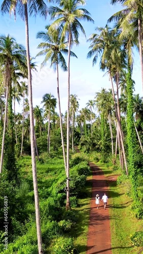 Wallpaper Mural tall high green palm trees at the tropical island of Koh Mak Thailand in the evening, drone aerial view above coconut trees, a young couple men and women walking on a sand path between palm trees  Torontodigital.ca