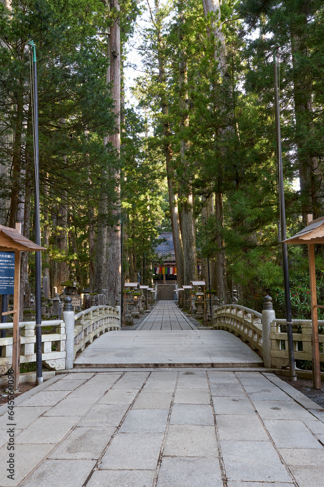 Obraz premium 世界遺産高野山の奥の院