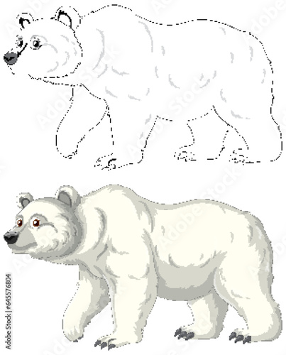Polar Bear Cartoon Outline
