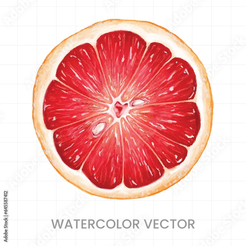 Lemon slices painted in watercolor on a white background