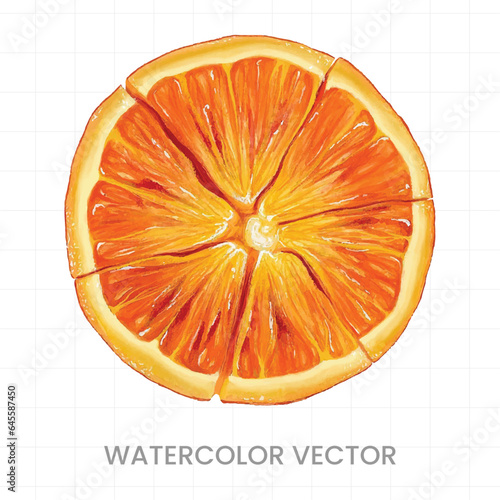 Lemon slices painted in watercolor on a white background