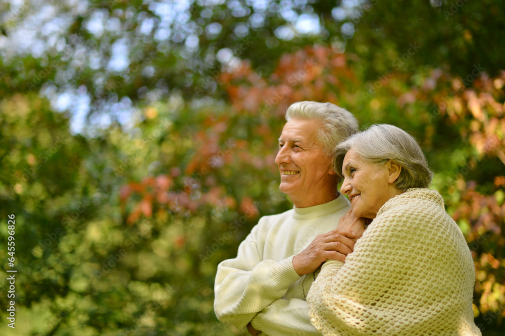 Nice elderly couple in a autumn park Nice elderly couple in a autumn park