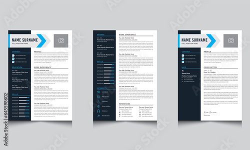 Executive Resume and Cover Letter for Business Resume Template

