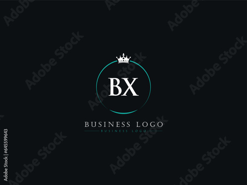 BX, Bx Typography Logo, Letter Bx Logo Icon For You photo