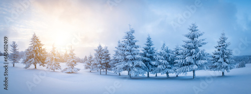 Panoramic shot of a row of trees in winter mountains. Sunrise behind the snow covered forest. © VOJTa Herout