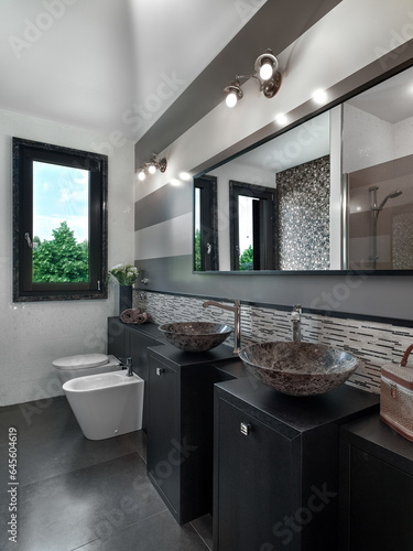 interior of a modern bathroom with two countertop sinks with related sink furniture (ID: 645604619)