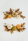 Round frame wreath made of dried oak leaves, acorns, pumpkins on white background with blank copy space. Flat lay, top view mockup