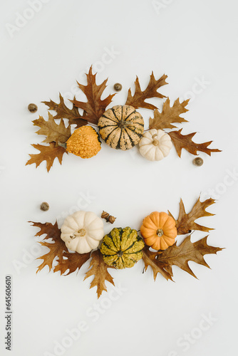 Round frame wreath made of dried oak leaves, acorns, pumpkins on white background with blank copy space. Flat lay, top view mockup