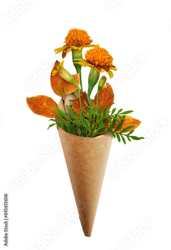 Wild marigold flowers and a...