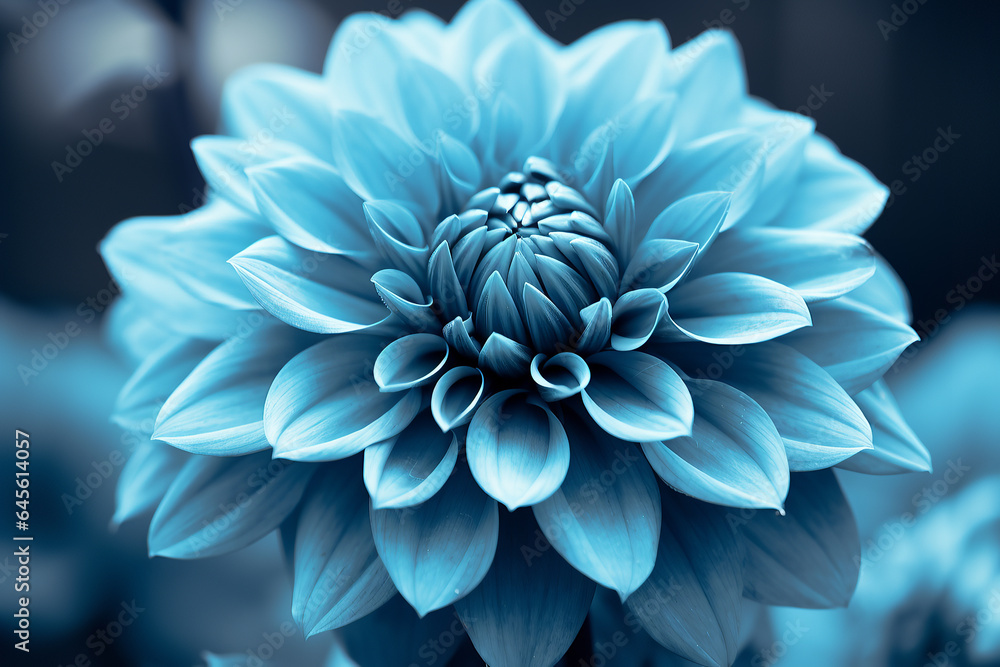 a blue flower, in the style of monochrome toning, contemplative absurdity, uhd image, naturalist aesthetic, light teal