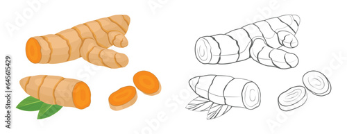 Turmeric color cartoon illustration and outline. Vector spice icon. Root, slices and leaves isolated on white background. Black and white flat illustration.