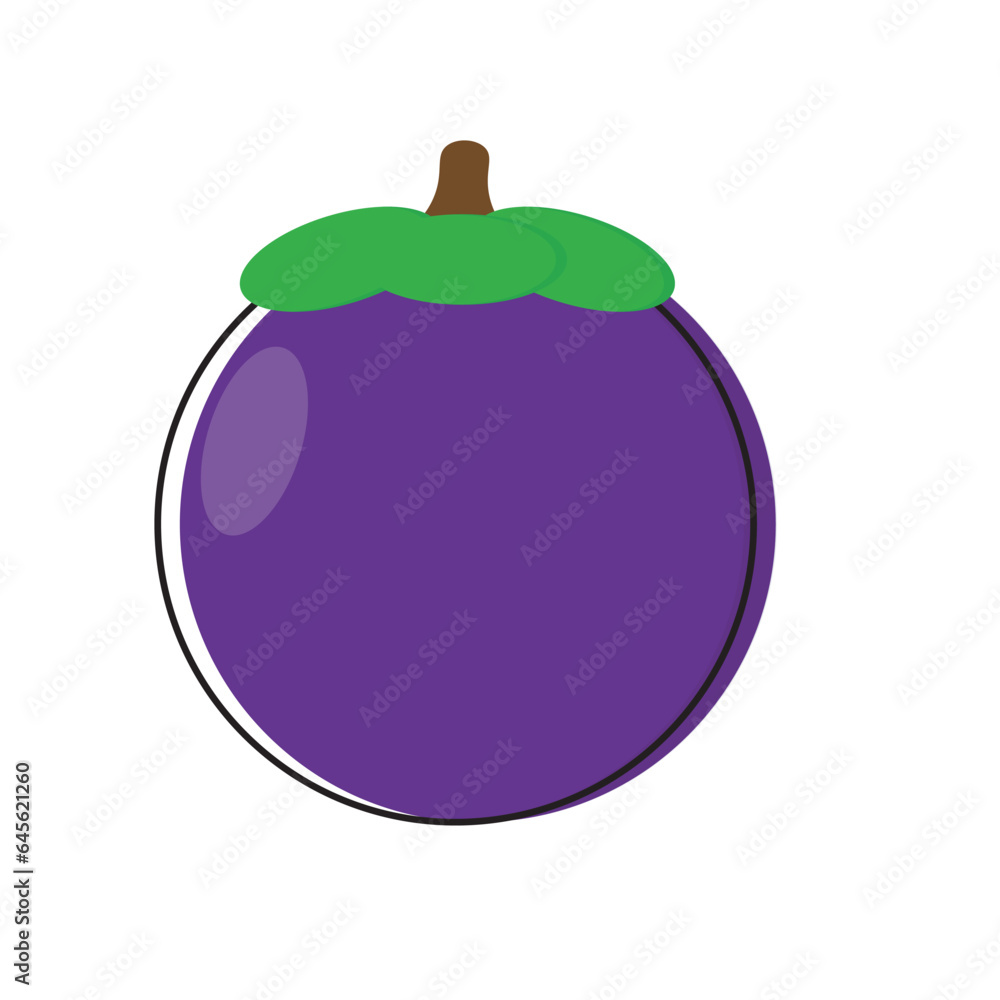 Fruit Illustration Fruit Illustration