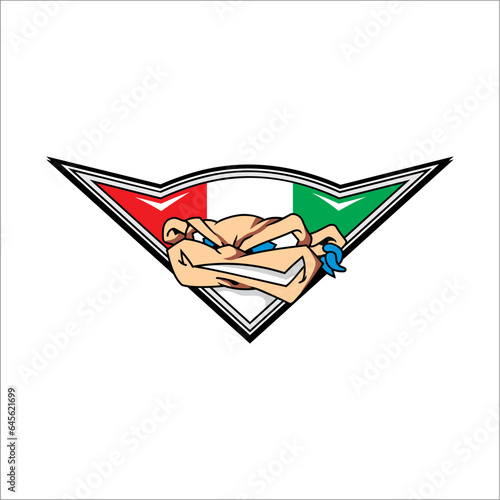 vector cartoon face with italian flag colors background photo