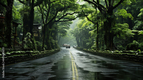 The Beautiful Chinese Wet Road and Green Trees in the Rain Landscapes