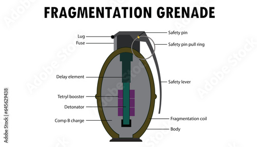 diagram of a fragmentation grenade
