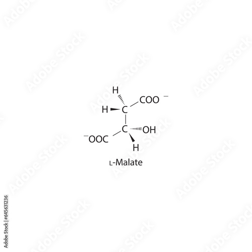 L-malate Dicarboxylic Acid - intermediate in energy metabolism Molecular structure skeletal formula on white background.