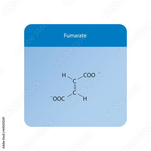 Fumarate Dicarboxylic Acid - intermediate in the citric acid cycle Molecular structure skeletal formula on blue background.