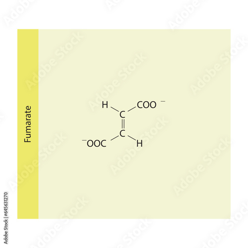 Fumarate Dicarboxylic Acid - intermediate in the citric acid cycle Molecular structure skeletal formula on yellow background.