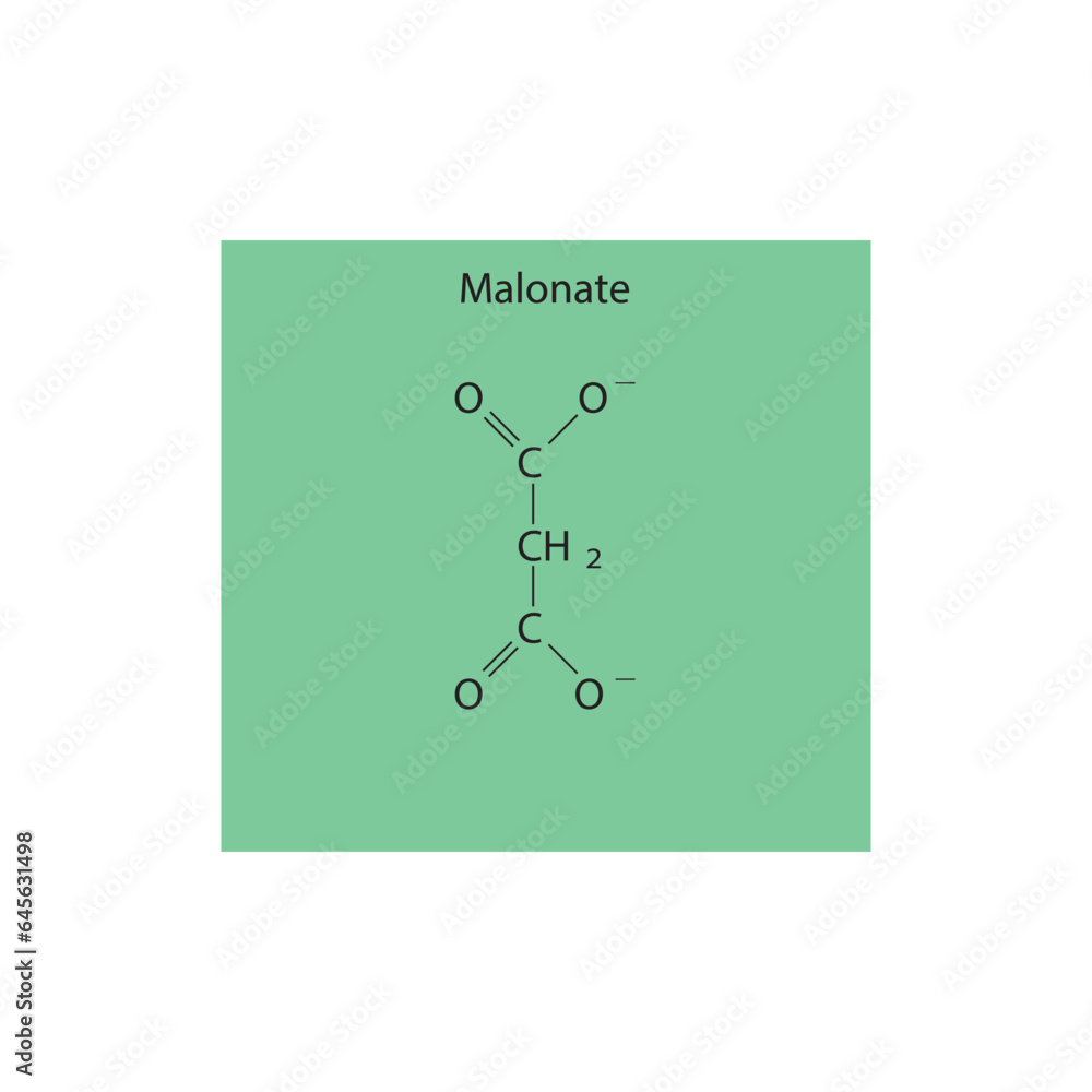 Malonate Dicarboxylic Acid competitive inhibitor of enzymes involved in