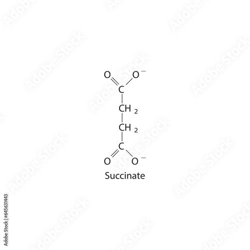 Succinate Dicarboxylic Acid - intermediate in the citric acid cycle Molecular structure skeletal formula on white background.
