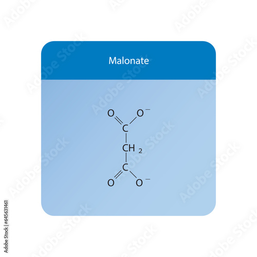 Malonate Dicarboxylic Acid competitive inhibitor of enzymes involved in various metabolic pathways Molecular structure skeletal formula on blue background. photo