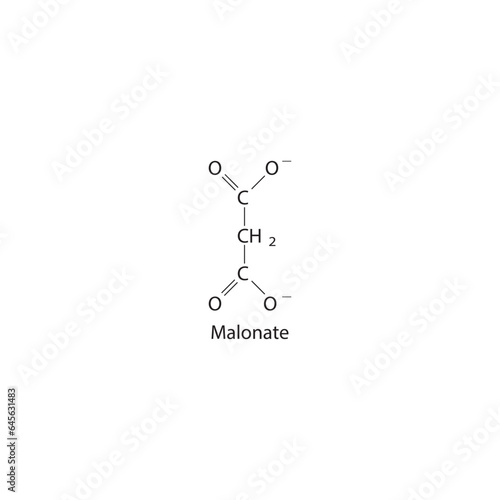 Malonate Dicarboxylic Acid competitive inhibitor of enzymes involved in various metabolic pathways Molecular structure skeletal formula on white background.